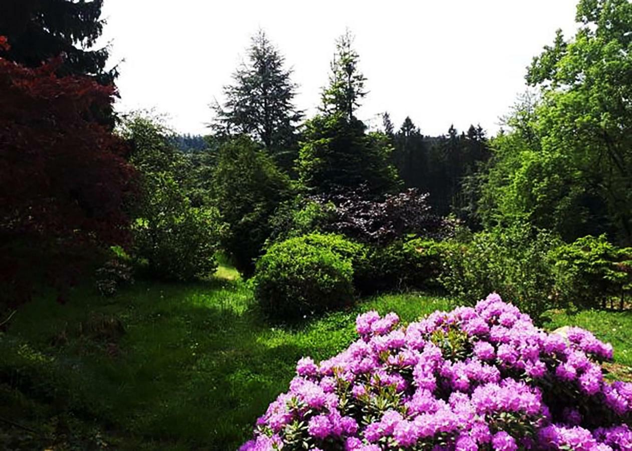 Green Corner Nuerburg Zewnętrze zdjęcie